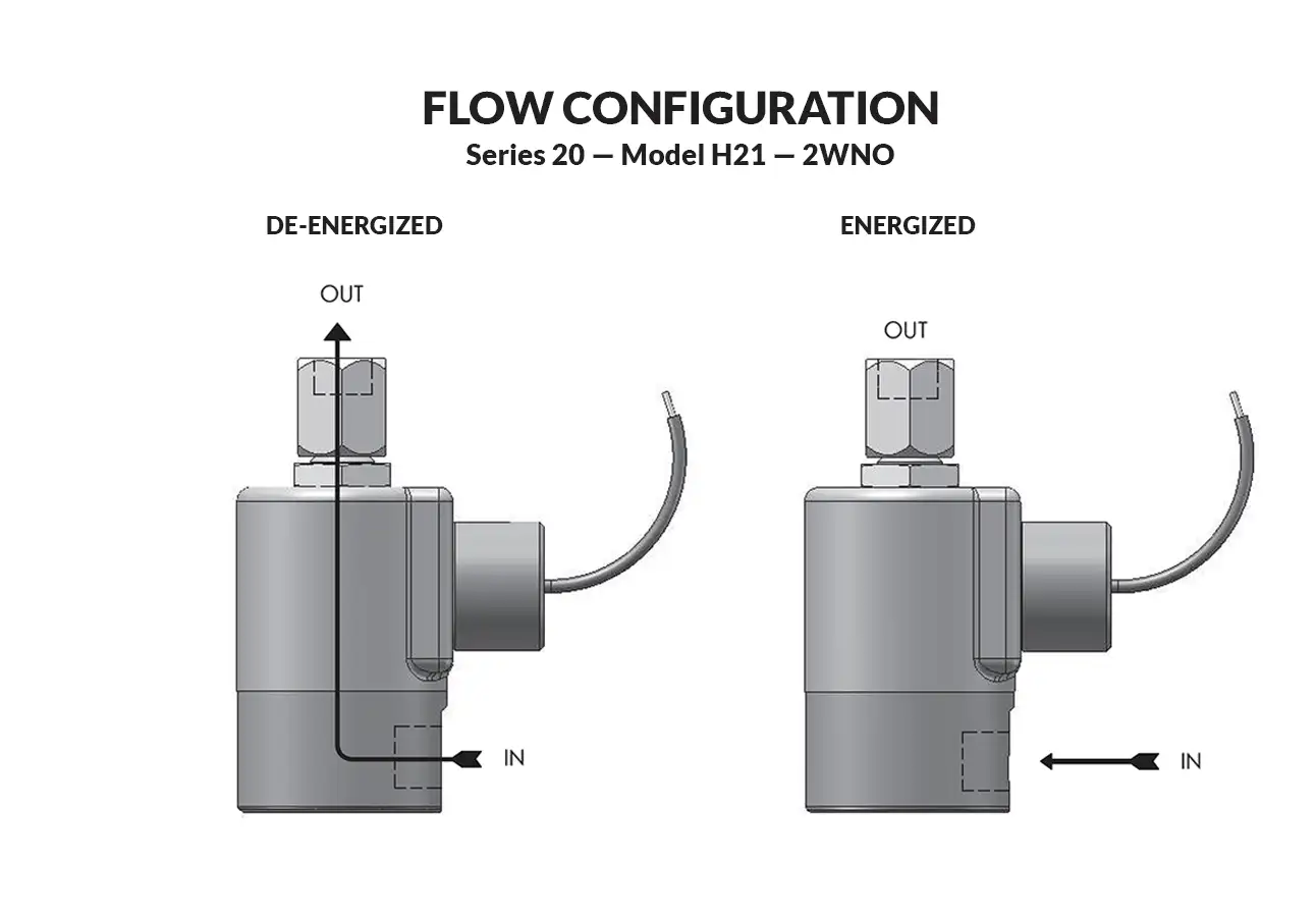 Series 20 Model H21 flow diagram