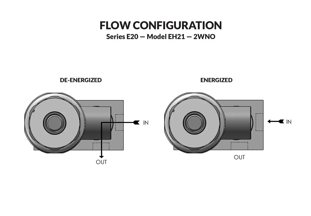 Series 20 Model EH21 flow diagram