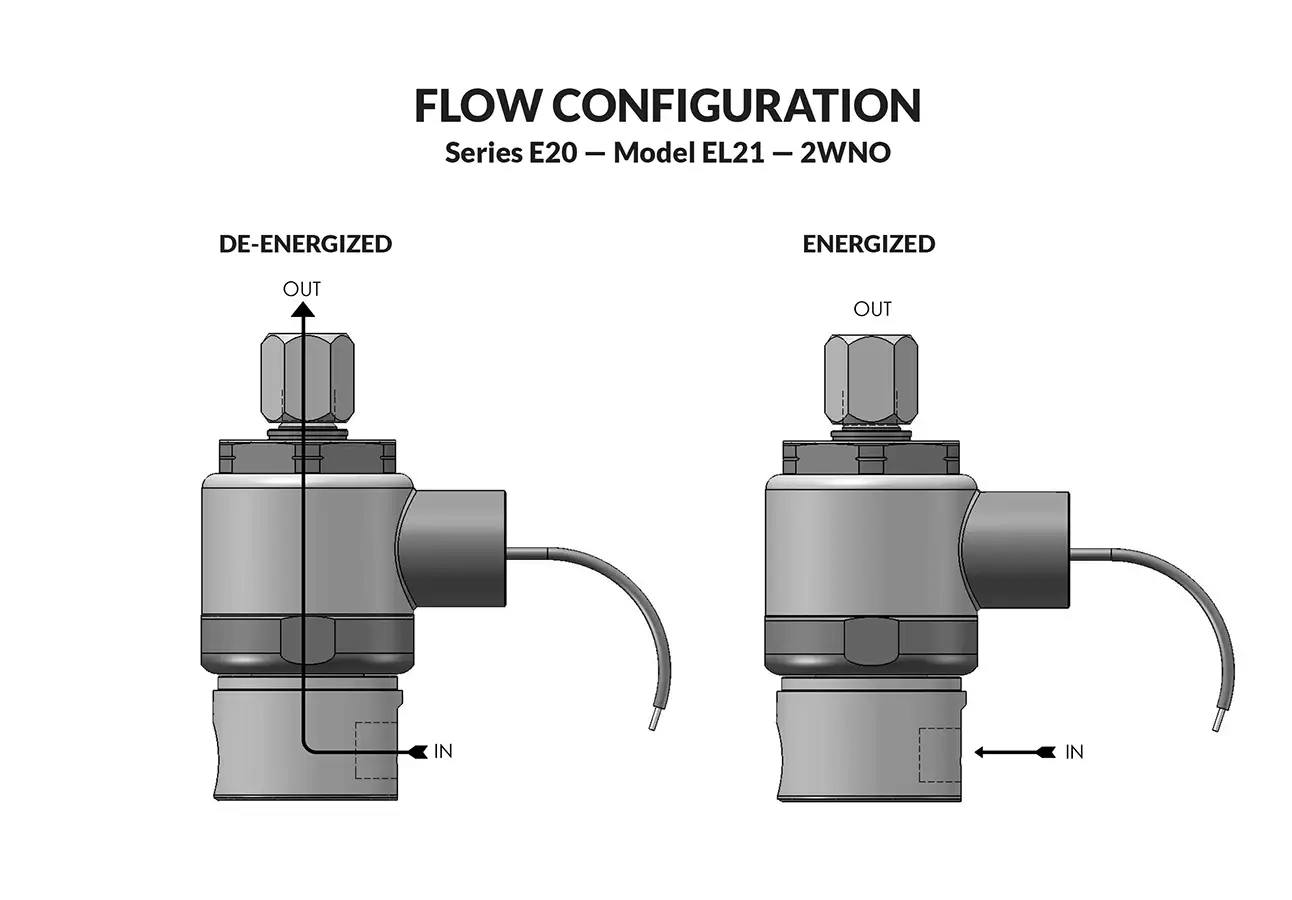 Series E20 Model EL21 flow diagram