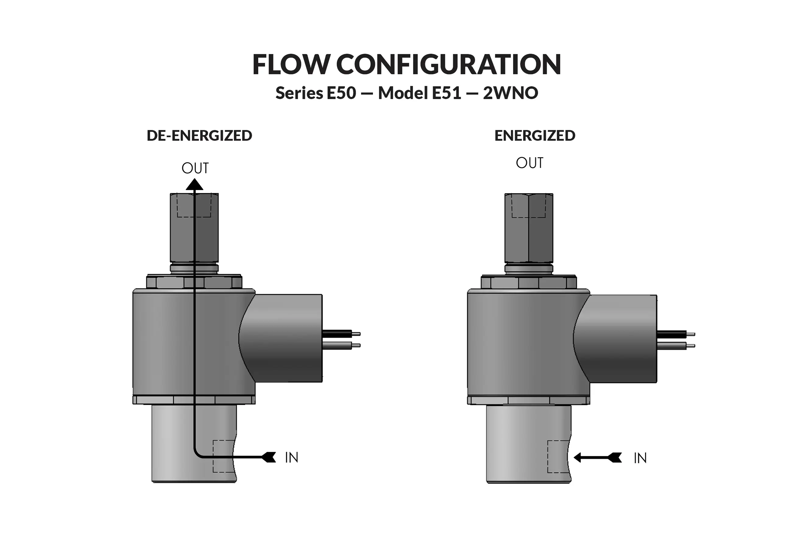 Series E50 Model E51 flow diagram