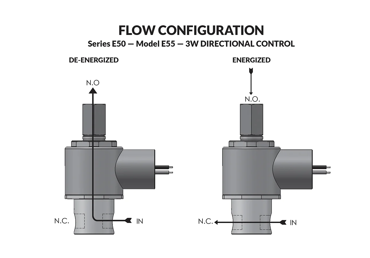 Series E50 Model E55 flow diagram