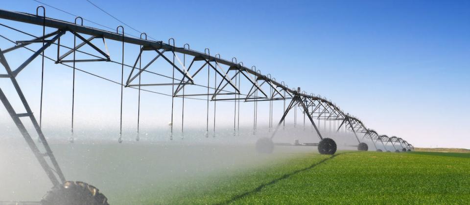 agriculture