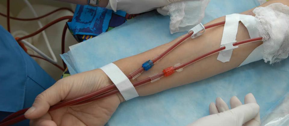 blood